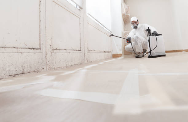 24/7 Emergency Black Mold Removal experts in Mechanicsville, VA