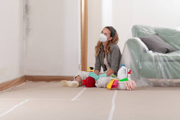 Reliable Mold Cleanup contractor in Mechanicsville, VA by Cheap Mold Removal